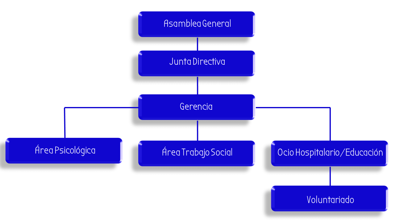 ORGANIGRAMA